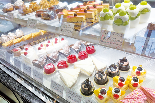料理画像